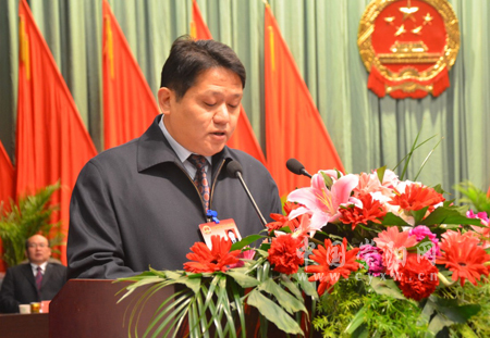 县发展和改革局局长石浪在会上作关于崇阳县2011年国民经济和社会